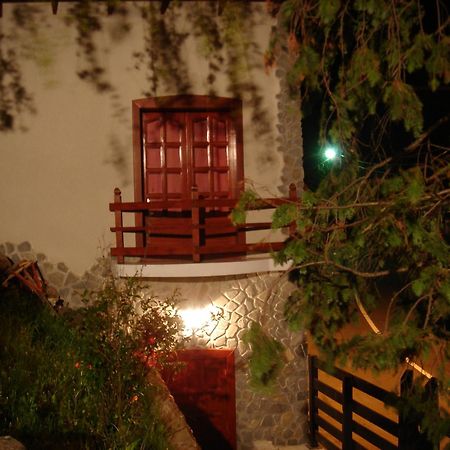 Rem's Pension Rasnov Exterior foto