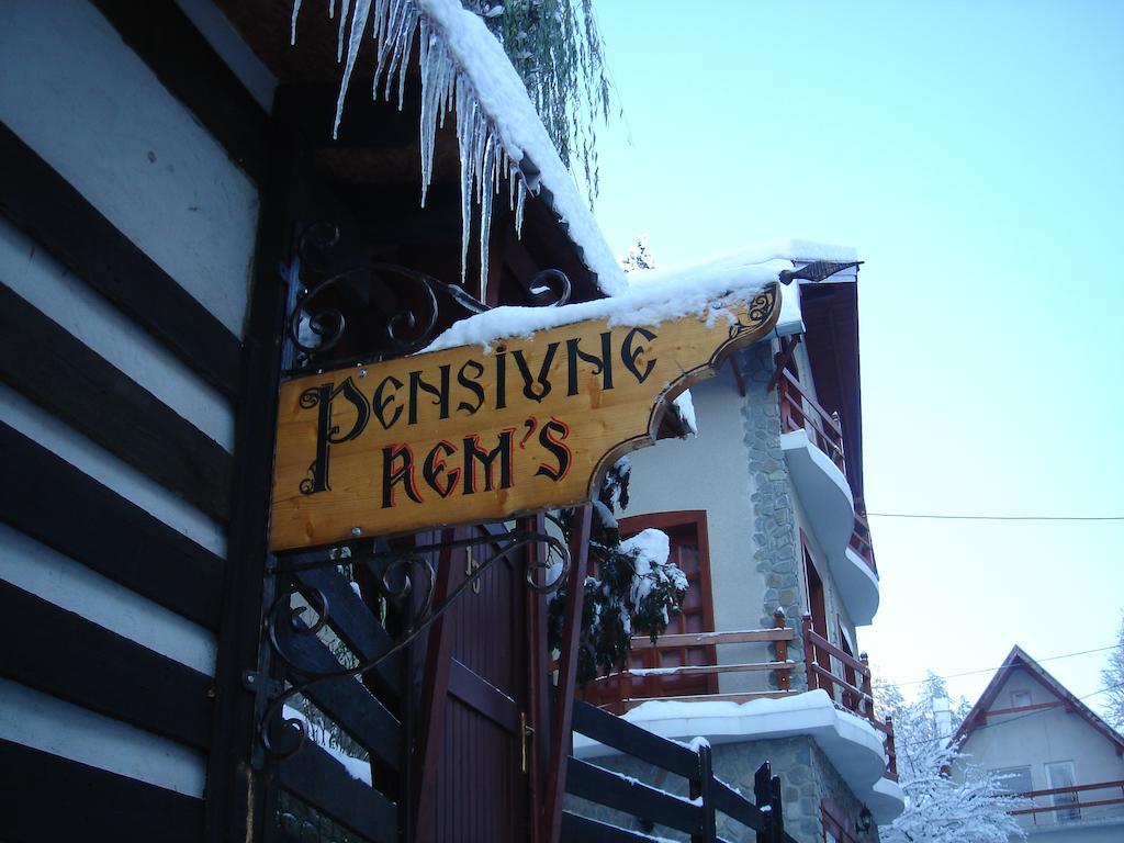 Rem's Pension Rasnov Exterior foto