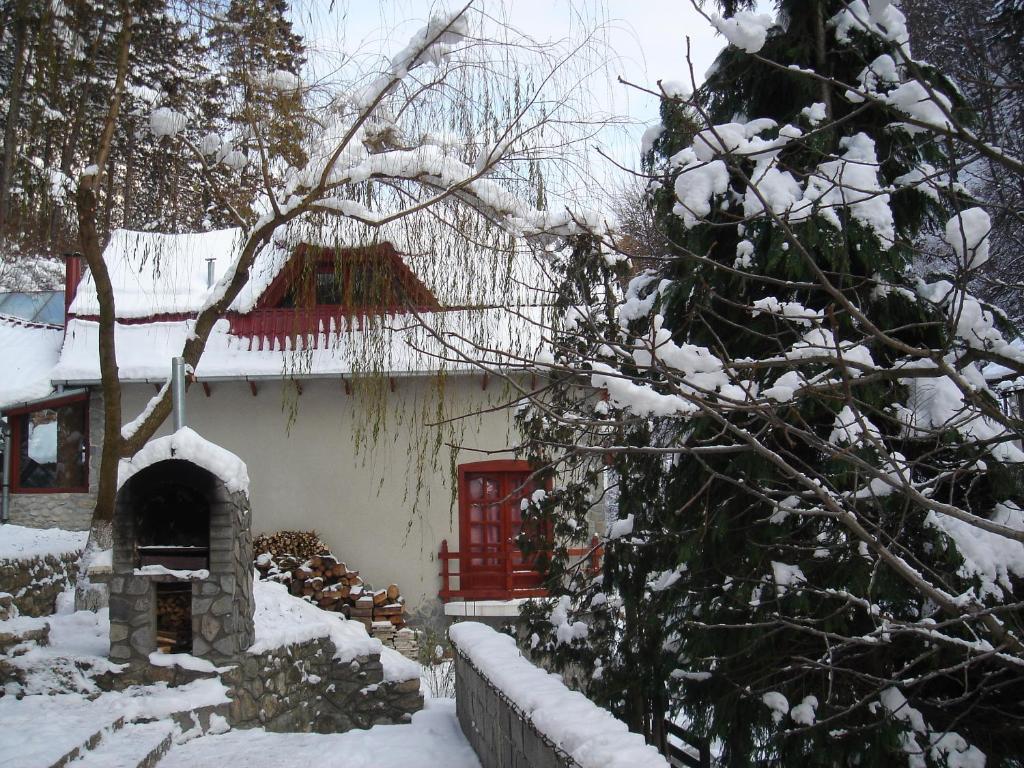 Rem's Pension Rasnov Exterior foto