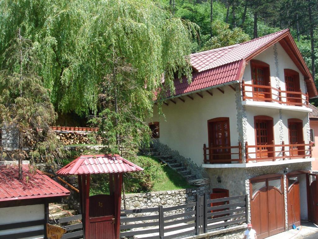 Rem's Pension Rasnov Exterior foto