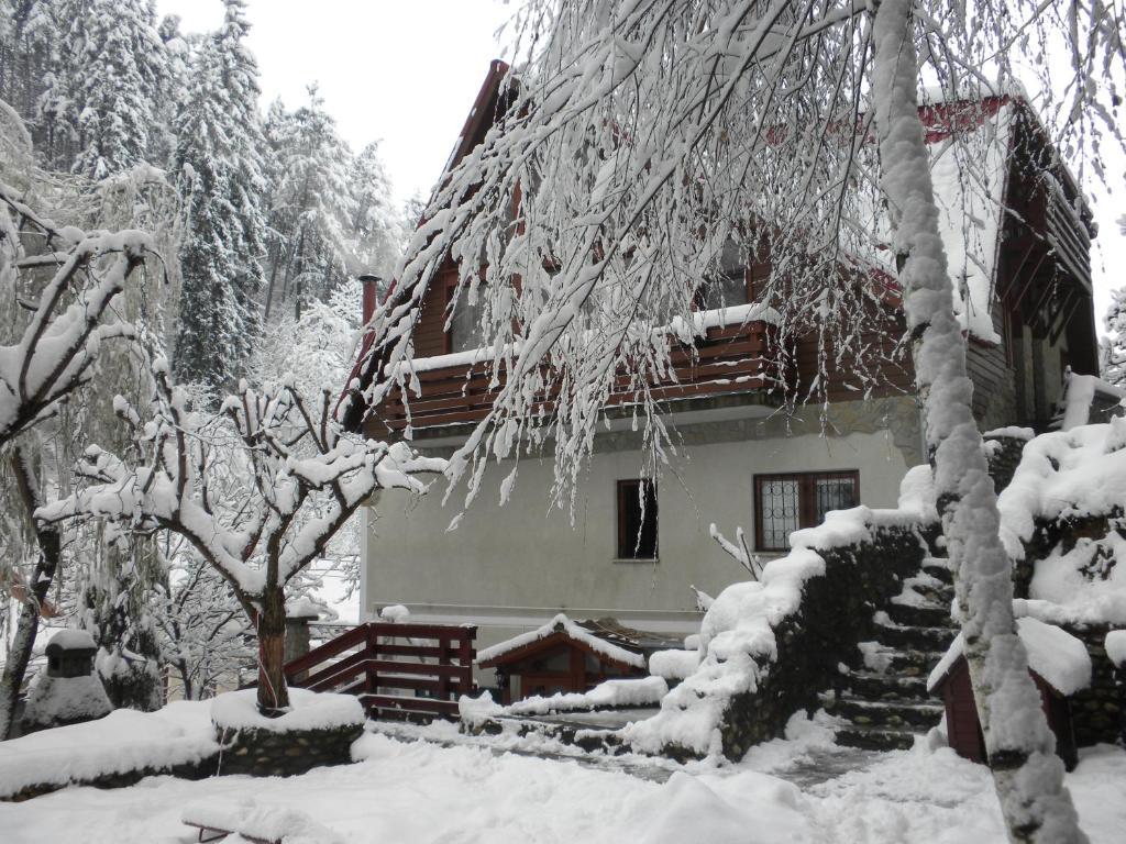 Rem's Pension Rasnov Exterior foto