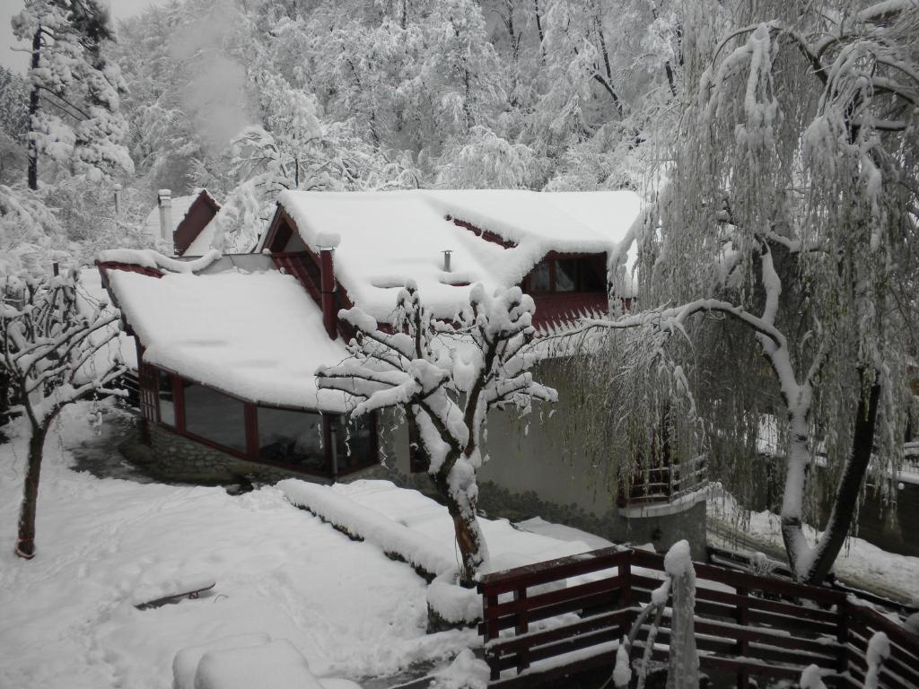 Rem's Pension Rasnov Exterior foto